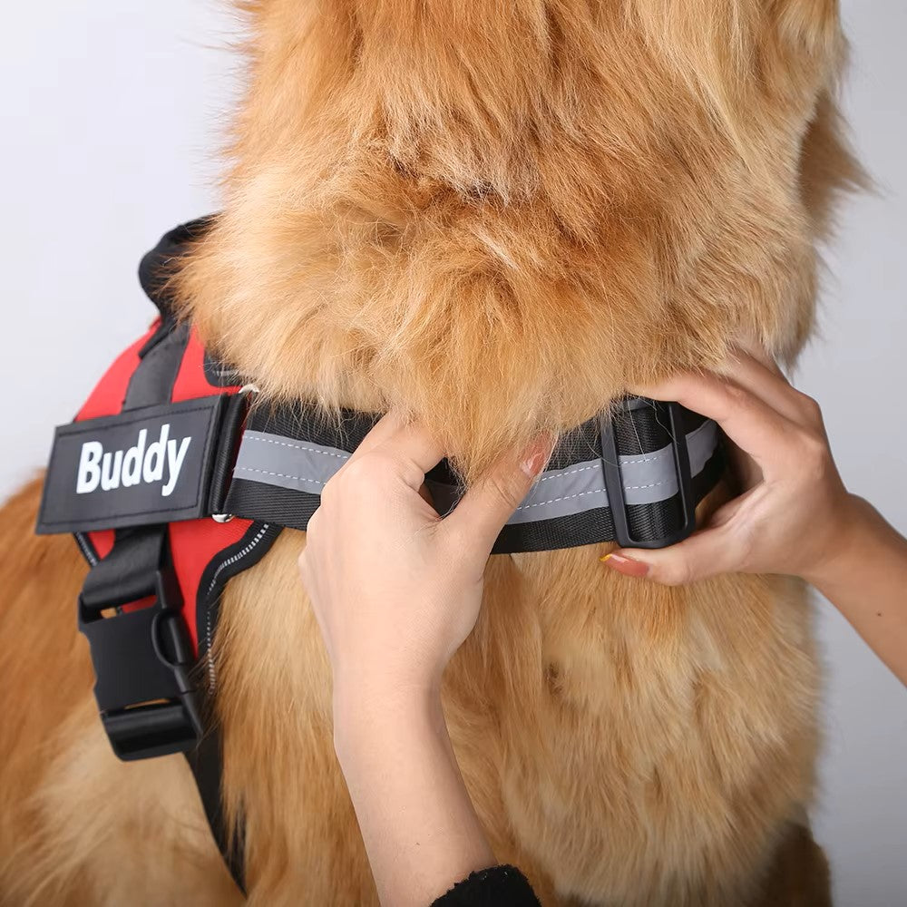 DogBuddy™ - Personalized No-Pull Dog Harness