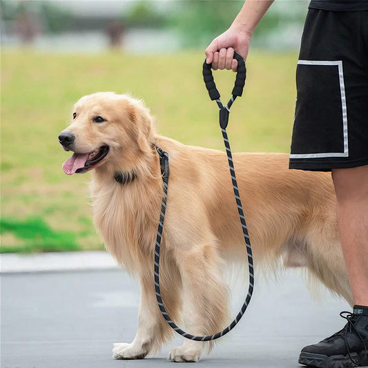 StrongTie™ - Reflective Dog Leash