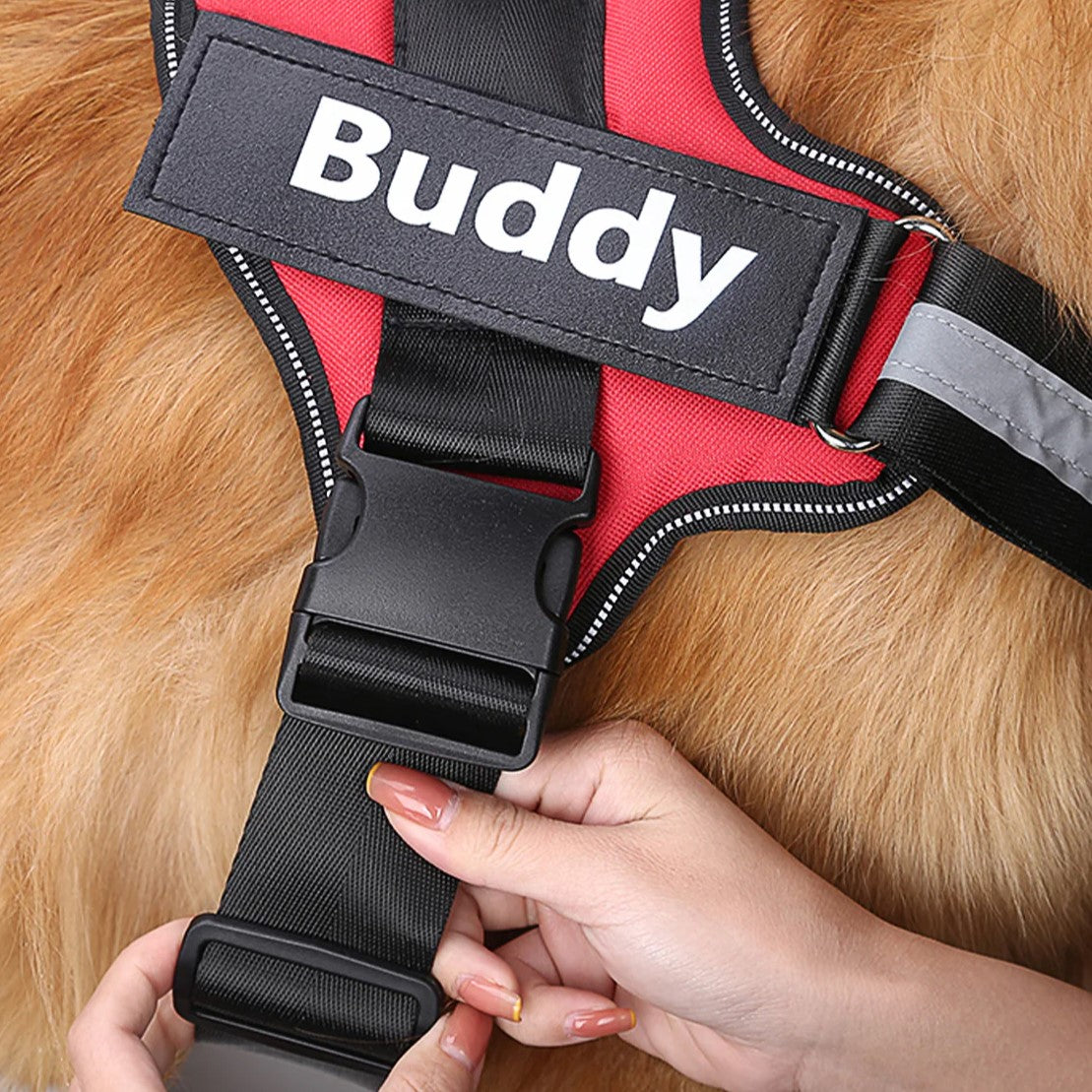 DogBuddy™ - Personalized No-Pull Dog Harness